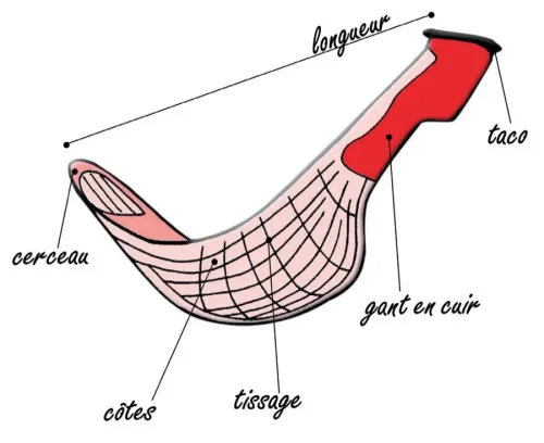 Le chistera